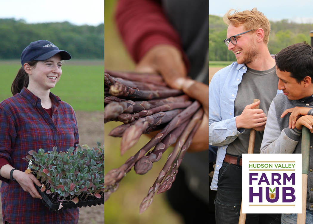 Farm Hub ProFarmer Program profile photo New England Farmers Union