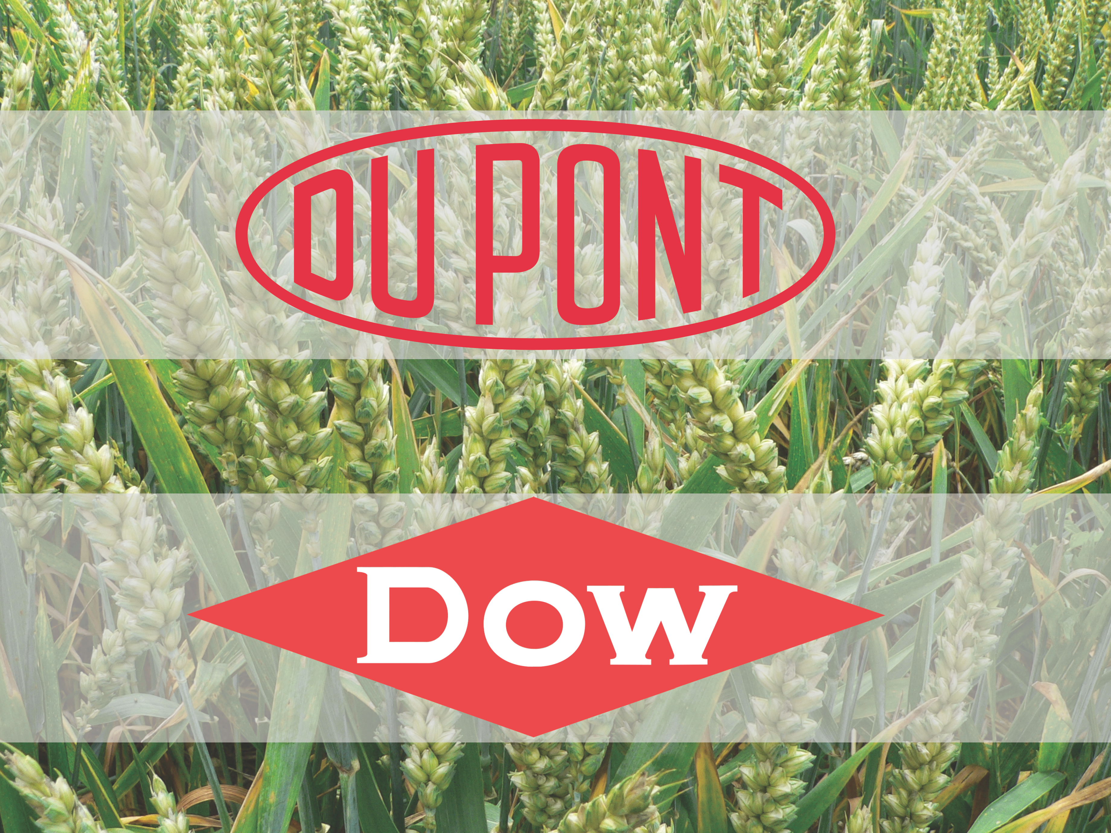 NFU Urges Trump Administration to Oppose Dow-DuPont Merger