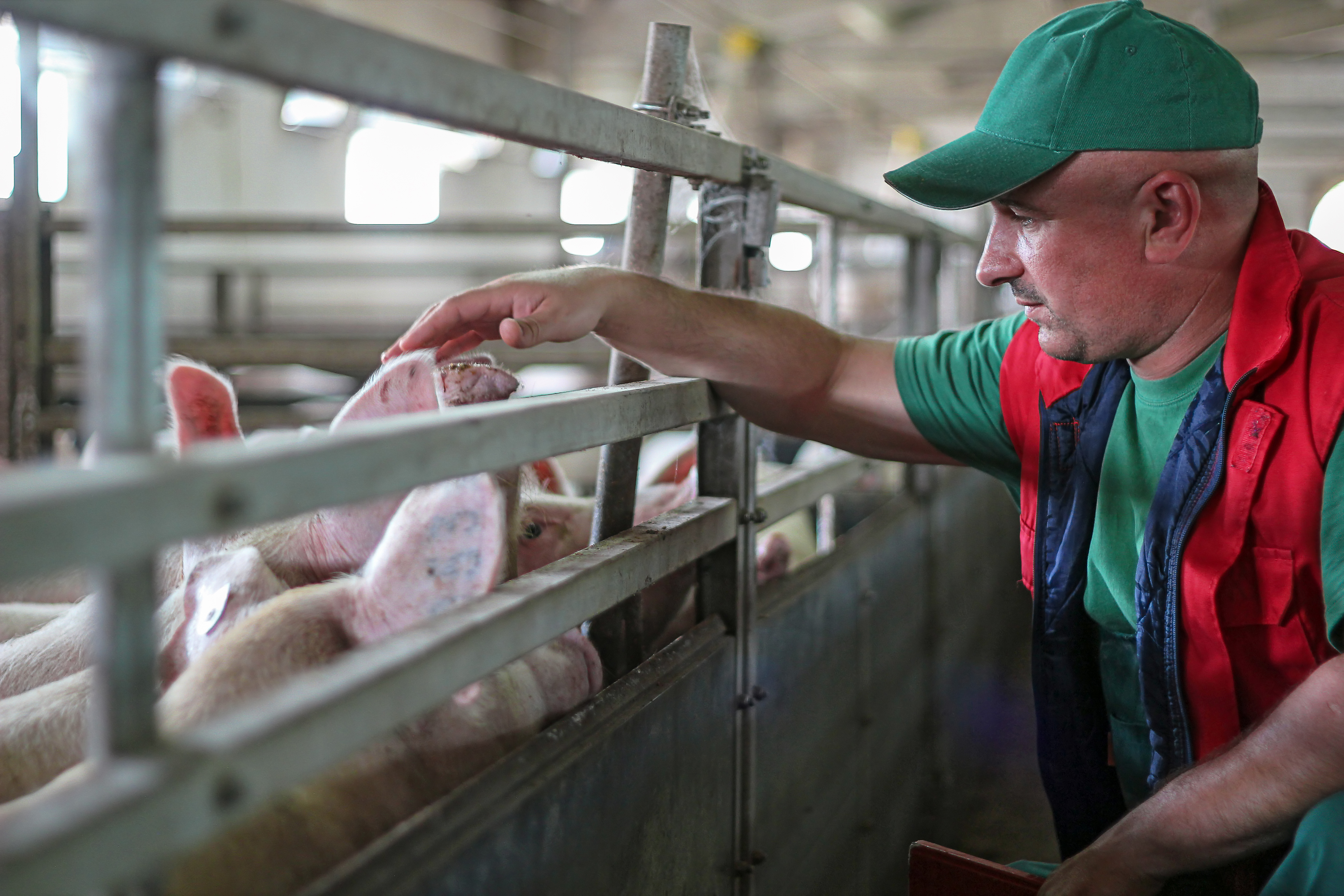 USDA to Send Trade Relief to JBS, Brazil’s Largest Meatpacker – Farmers Union Says Funds Should be Targeted to American Farmers and Ranchers