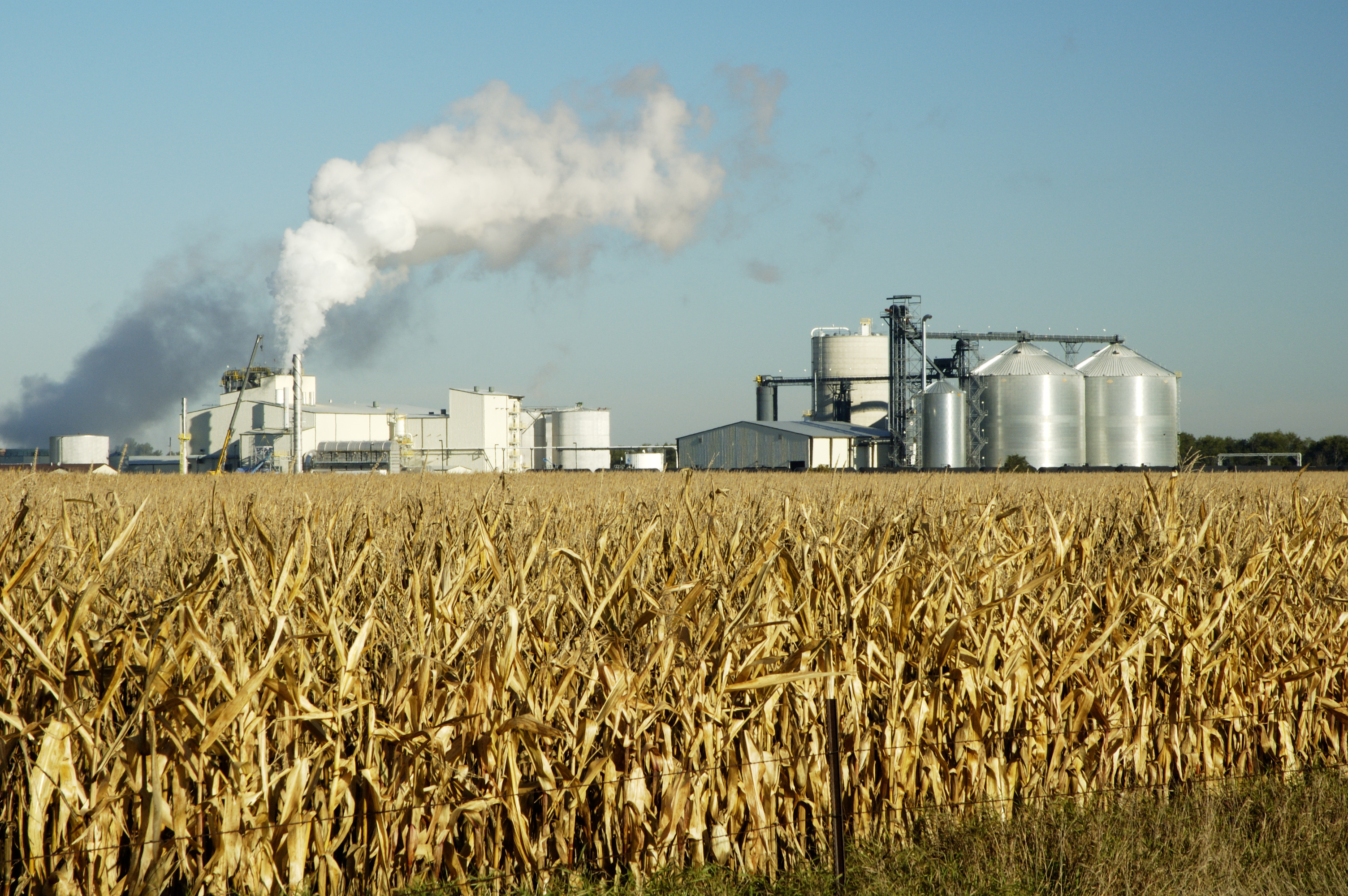 Coalition Pushes EPA to Reconsider Limits on Higher Ethanol Blends