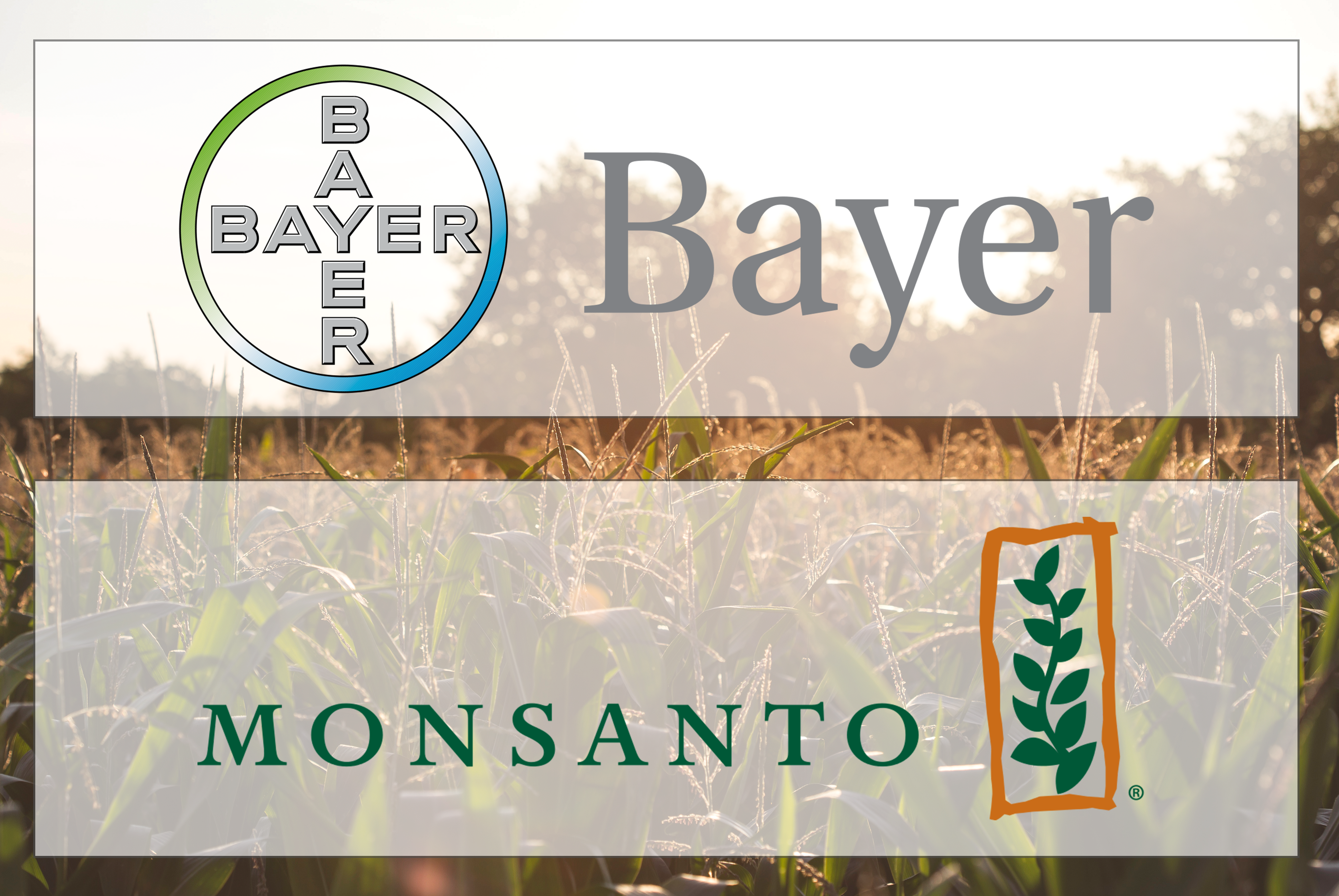 NFU Condemns DOJ Approval of Monsanto Acquisition by Bayer